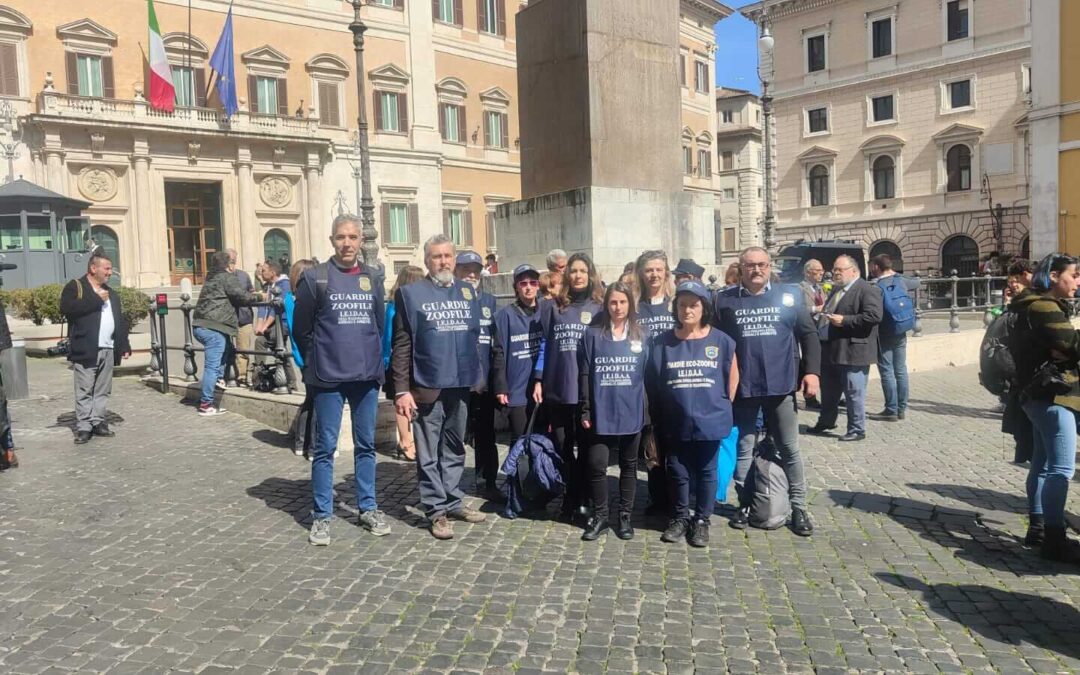 Presidio a Montecitorio per PDL Brambilla